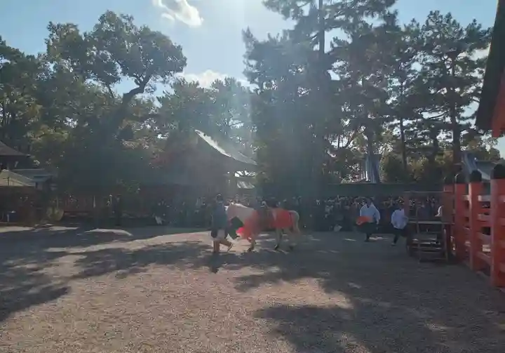 住吉大社(大阪府)