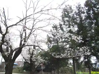 伏木香取神社(茨城県)