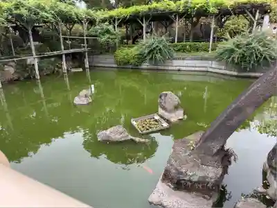 亀戸天神社(東京都)