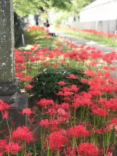 横浜　西方寺の自然