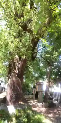 多奈波太神社(愛知県)