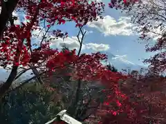 新倉富士浅間神社(山梨県)