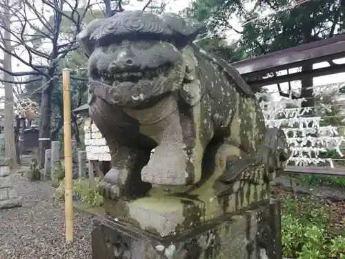 菊田神社の狛犬