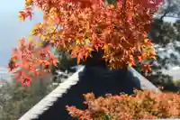 国宝 大法寺の自然