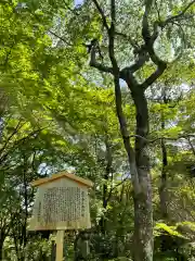 勝持寺（花の寺）(京都府)