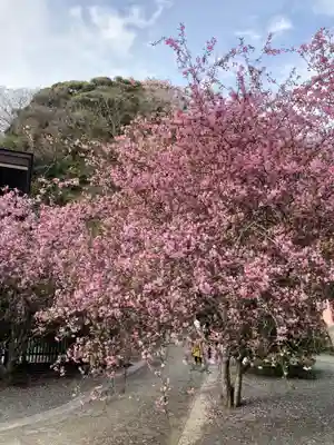 妙本寺(神奈川県)