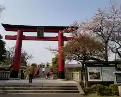 亀戸天神社の鳥居