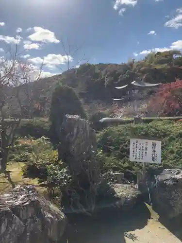 勧修寺の庭園