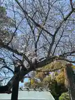 伊勢山皇大神宮(神奈川県)