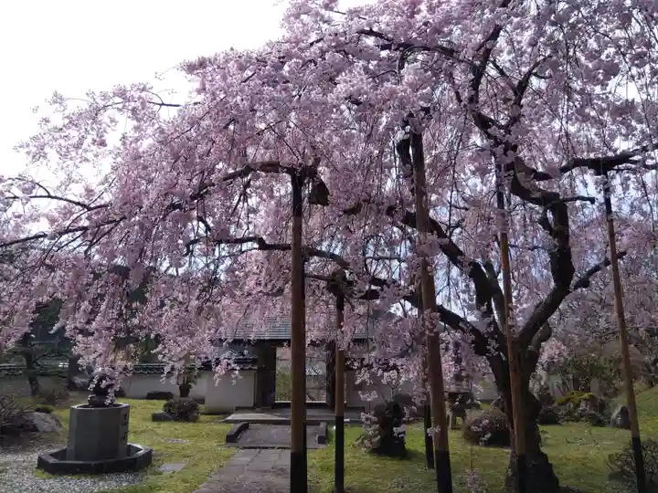 大聖院(京都府)