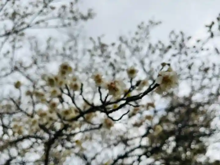 石清水八幡宮(京都府)