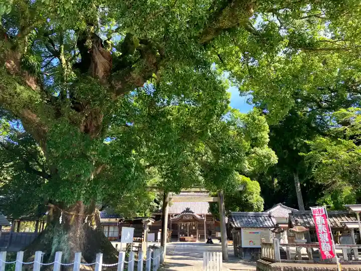 尾鷲神社(三重県)