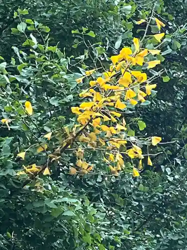 正法寺(埼玉県)