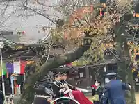 蓮馨寺(埼玉県)