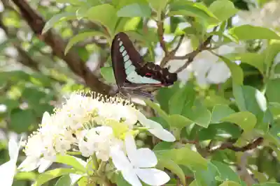 唐招提寺(奈良県)