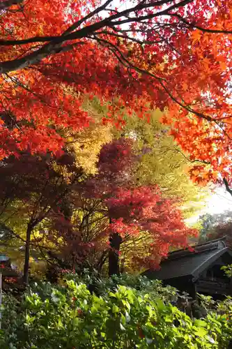 本土寺(千葉県)