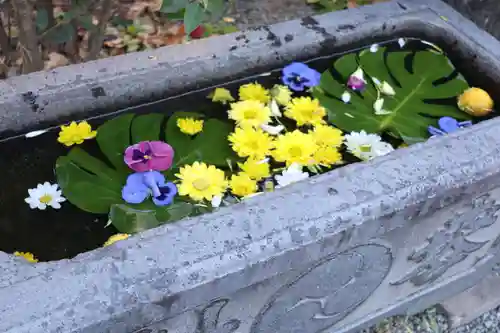元町厳島神社の手水舎