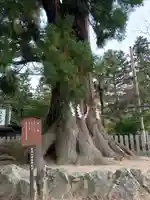 筑波山神社の自然