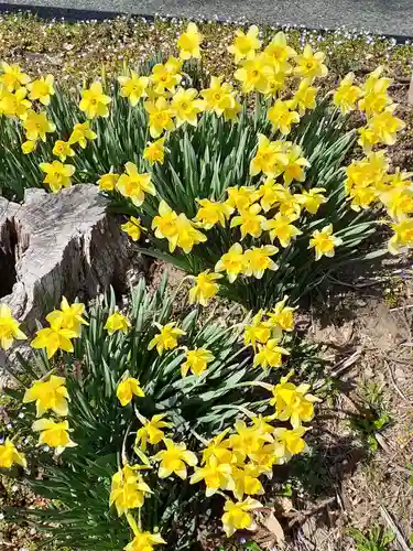 菅原神社(岩手県)