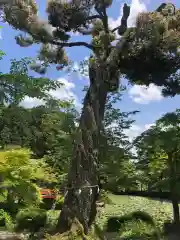 大原野神社(京都府)