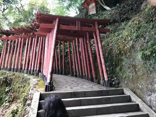 祐徳稲荷神社の鳥居