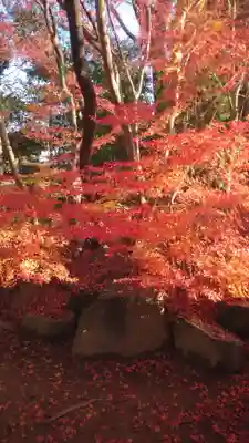 八重垣神社(島根県)