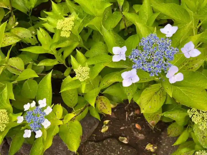 天台宗 長窪山 正覚寺(神奈川県)