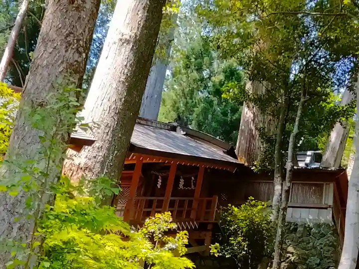 丹生川上神社(下社)(奈良県)