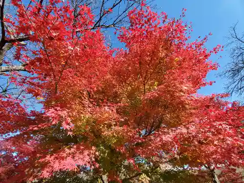 緑水神社の自然