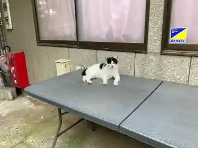 鎌数伊勢大神宮(千葉県)