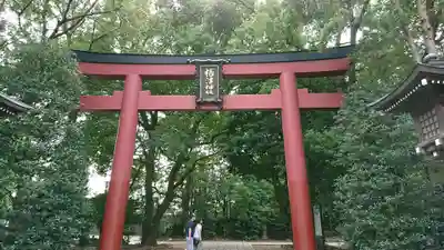 根津神社の鳥居