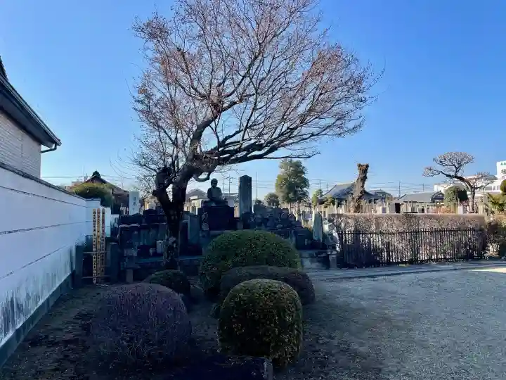 宝輪寺の{uncategorized: "未分類", other: "その他", undefined: "問題あり", building: "その他建物", grave: "お墓", sacred_gate: "鳥居", guardian: "狛犬", statue: "像", buddha: "仏像", history: "歴史", nature: "自然", garden: "庭園", animal: "動物", pagoda: "塔", temizu: "手水舎", mountain_gate: "山門・神門", sanctuary: "本殿・本堂", subordinate: "末社・摂社", art: "芸術", scenery: "景色", jizo: "地蔵", ema: "絵馬", goshuin: "御朱印", omikuji: "おみくじ", items: "授与品その他", amulet: "お守り", goshuincho: "御朱印帳", eats: "食事", festival: "お祭り", votive_dance: "神楽", shichigosan: "七五三参", wedding: "結婚式", experience: "体験その他", initially: "初詣", around: "周辺", anti_infection: "感染症対策"}