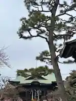 桜神宮(東京都)