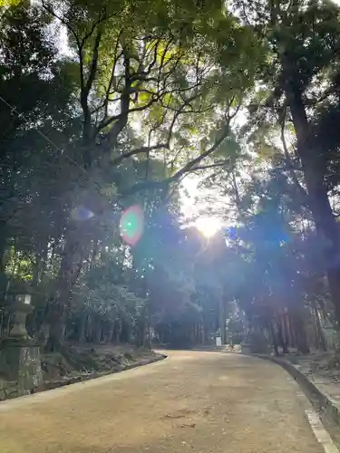 春日大社(奈良県)