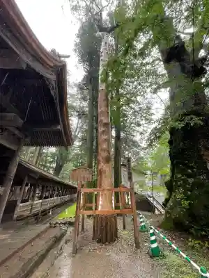 諏訪大社(長野県)