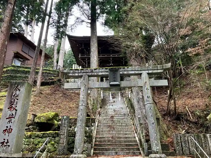 秋葉神社(高知県)