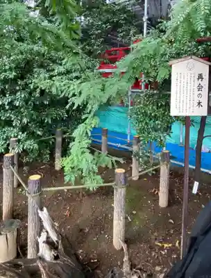 川越八幡宮(埼玉県)