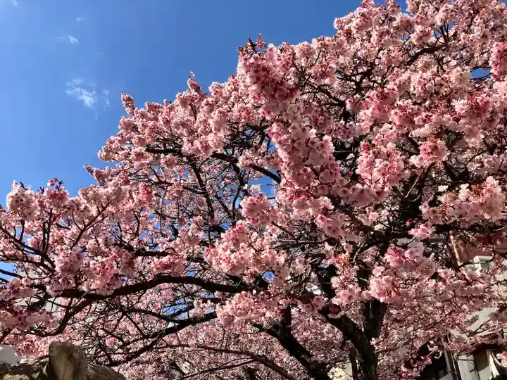 湯前神社(静岡県)