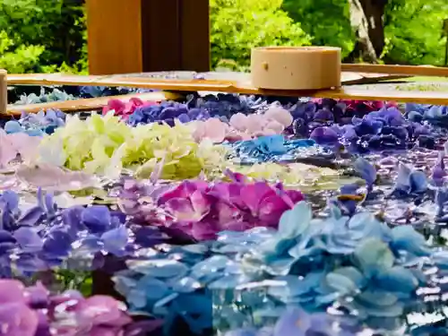 土津神社｜こどもと出世の神さまの手水