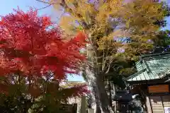 鹿島御子神社の自然