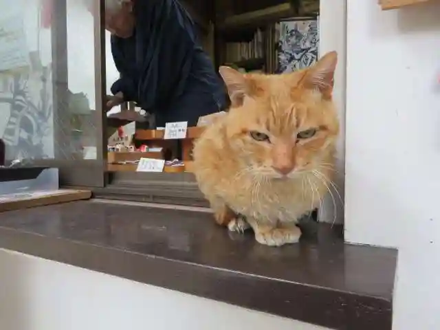 安居神社の動物
