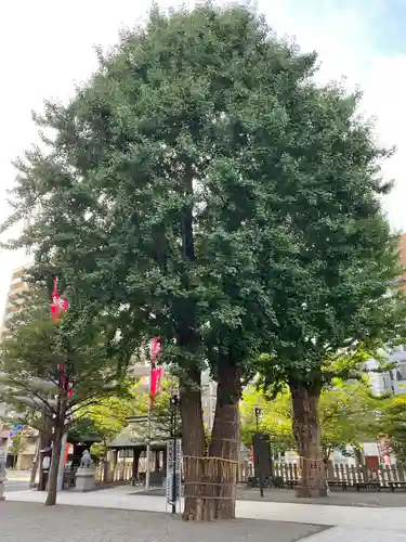 北海道神宮頓宮の自然