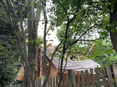 伊勢山皇大神宮の本殿・本堂