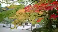 南禅寺の{uncategorized: "未分類", other: "その他", undefined: "問題あり", building: "その他建物", grave: "お墓", sacred_gate: "鳥居", guardian: "狛犬", statue: "像", buddha: "仏像", history: "歴史", nature: "自然", garden: "庭園", animal: "動物", pagoda: "塔", temizu: "手水舎", mountain_gate: "山門・神門", sanctuary: "本殿・本堂", subordinate: "末社・摂社", art: "芸術", scenery: "景色", jizo: "地蔵", ema: "絵馬", goshuin: "御朱印", omikuji: "おみくじ", items: "授与品その他", amulet: "お守り", goshuincho: "御朱印帳", eats: "食事", festival: "お祭り", votive_dance: "神楽", shichigosan: "七五三参", wedding: "結婚式", experience: "体験その他", initially: "初詣", around: "周辺", anti_infection: "感染症対策"}
