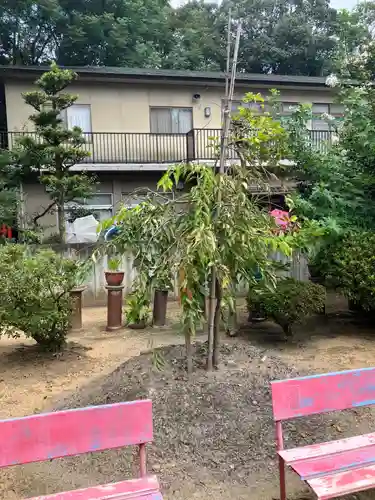 廣田八幡神社の自然