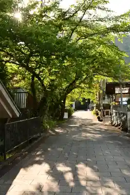 妙義神社(群馬県)