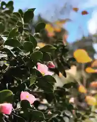 鹿島大神宮(福島県)