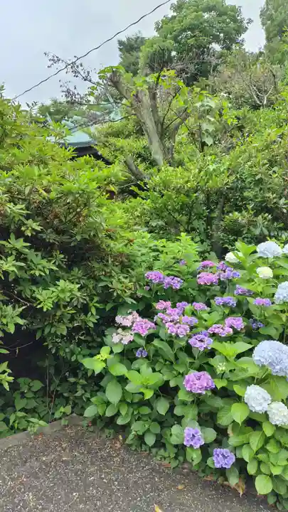白金氷川神社(東京都)