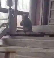 日吉神社(平沢)(宮城県)