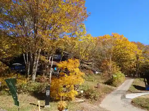 戸隠神社宝光社の自然